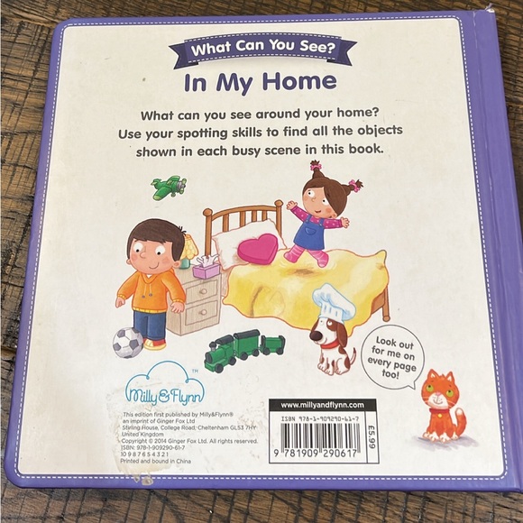 Look & Find In my home kids book - Picture 3 of 3